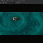 Review ứng dụng thiết kế đồ họa: Top 5 phần mềm được chuyên gia khuyên dùng!